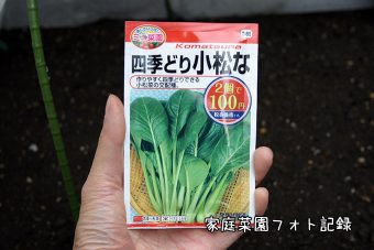 100円ショップ小松菜の種